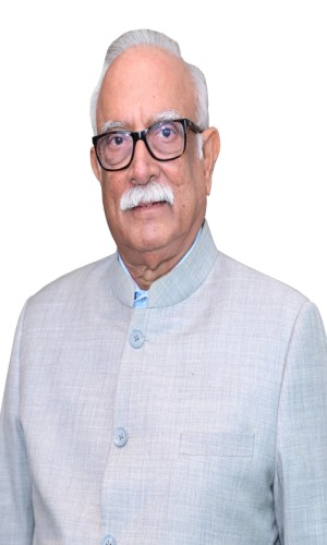 Governor of Goa